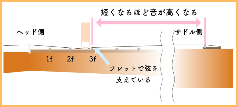 フレットとサドルの関係、押さえる場所　780-350